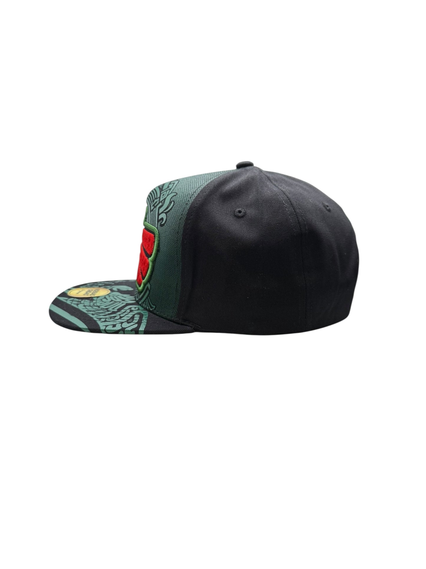 Gorra Mexicana Plana