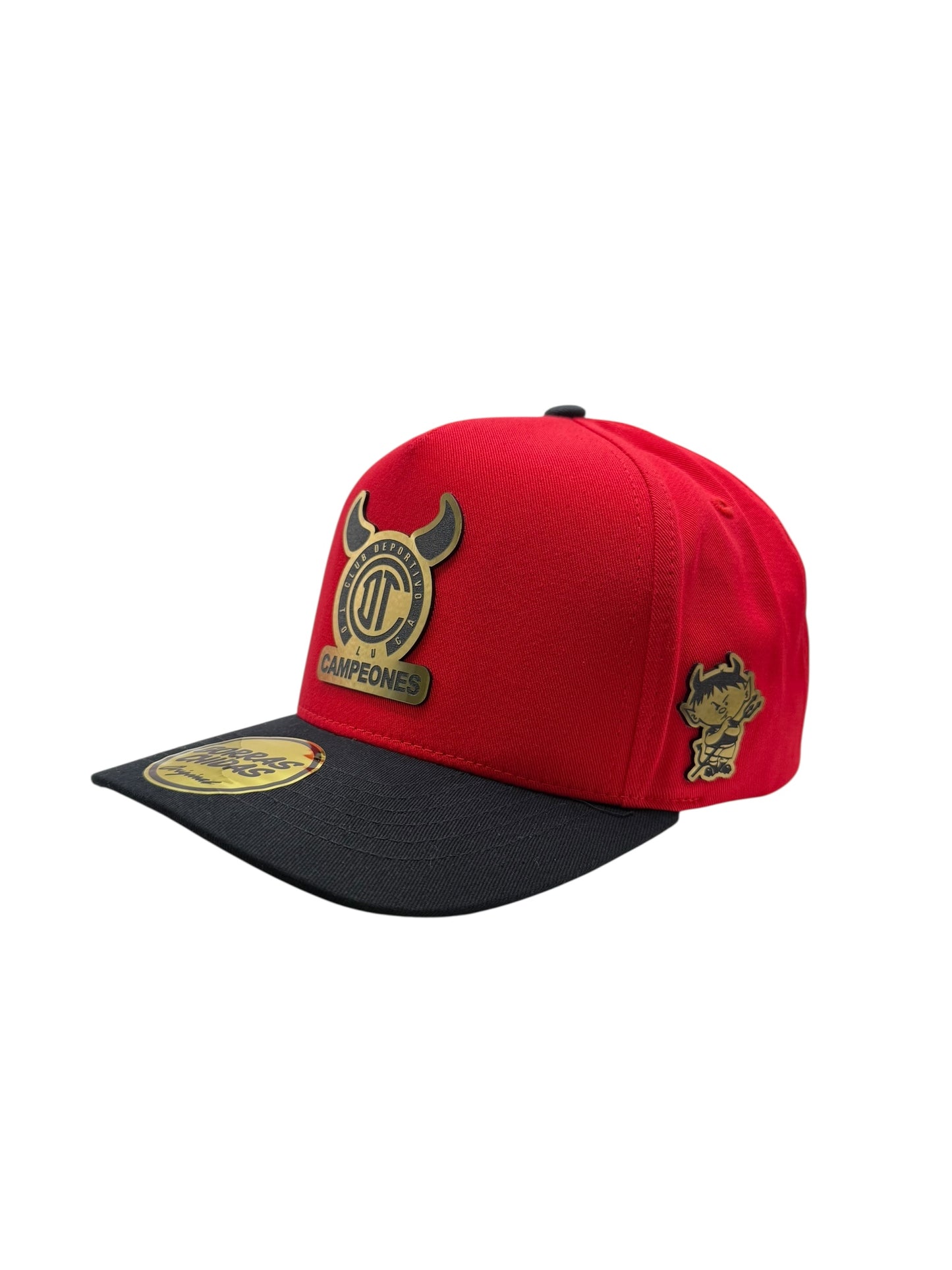 Toluca Campeones
