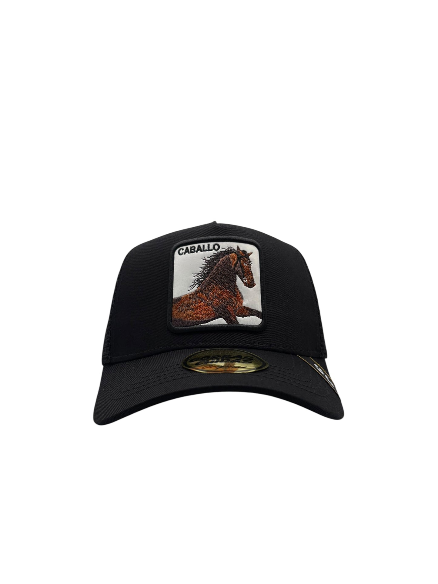 Caballo Negro
