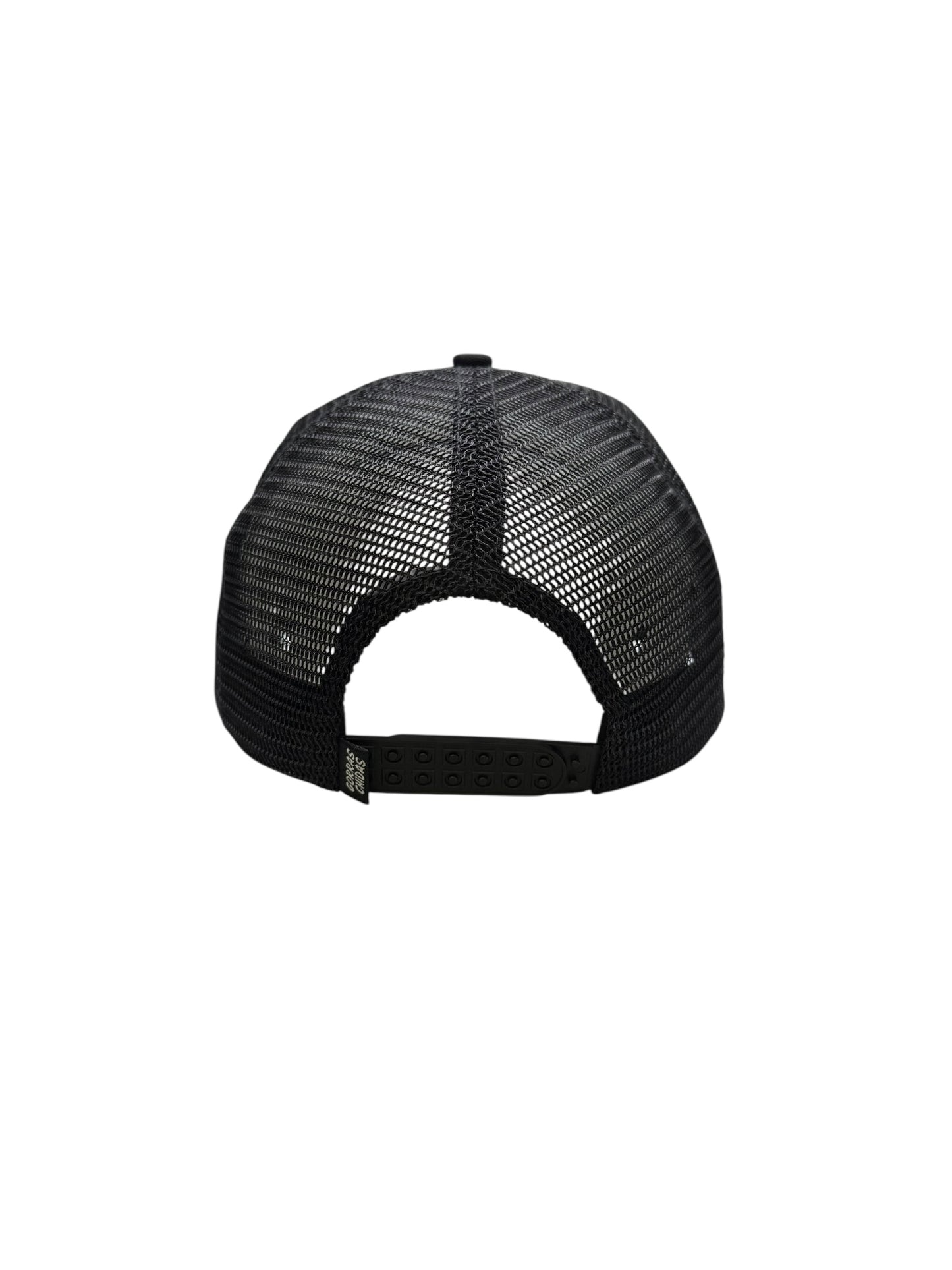 Tigre Negro