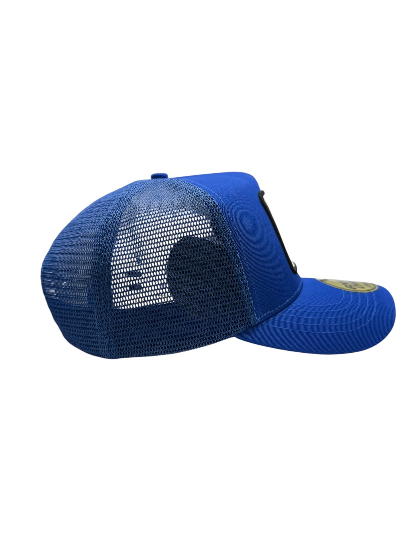 Gorra Tigre Azul