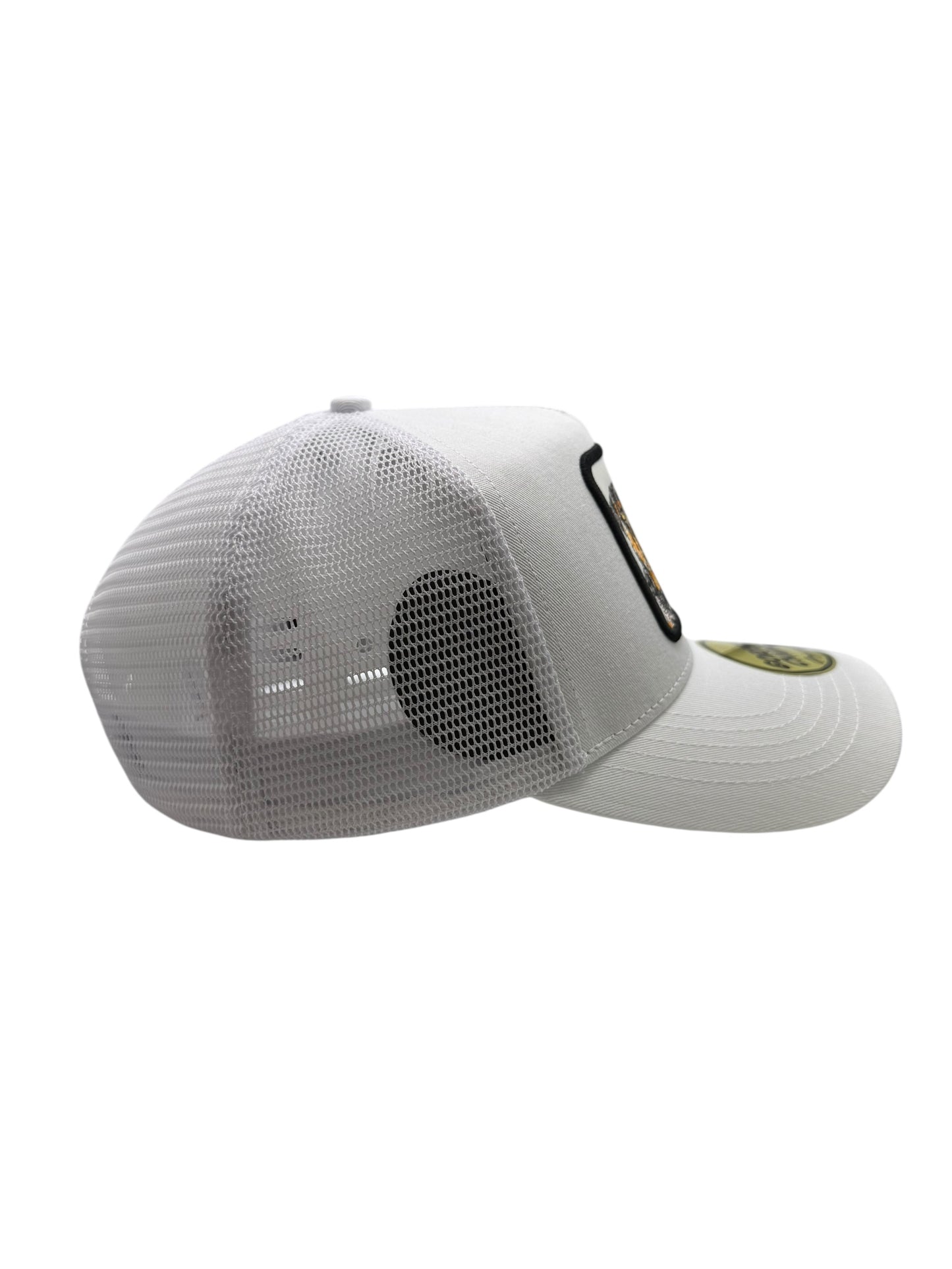 Perro Blanco