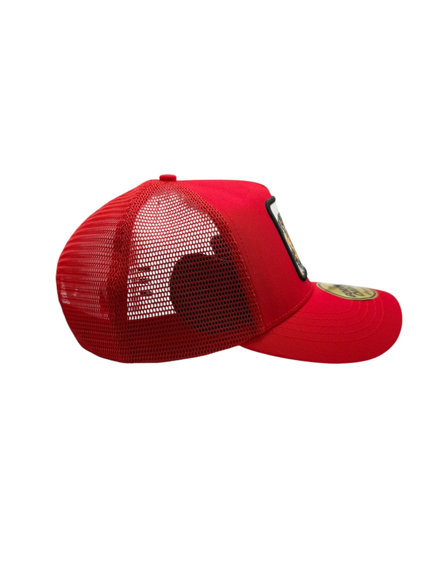 Perro Rojo