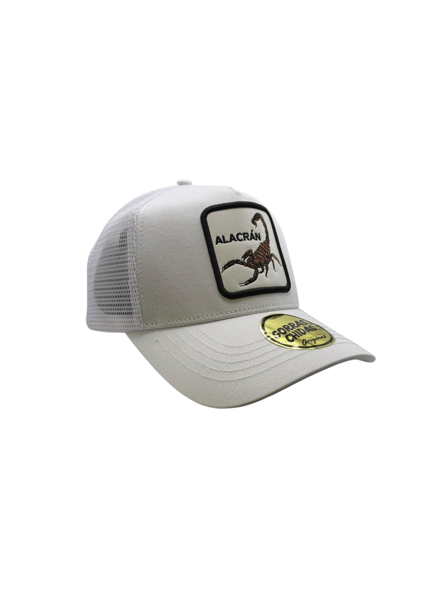 Alacrán Blanco