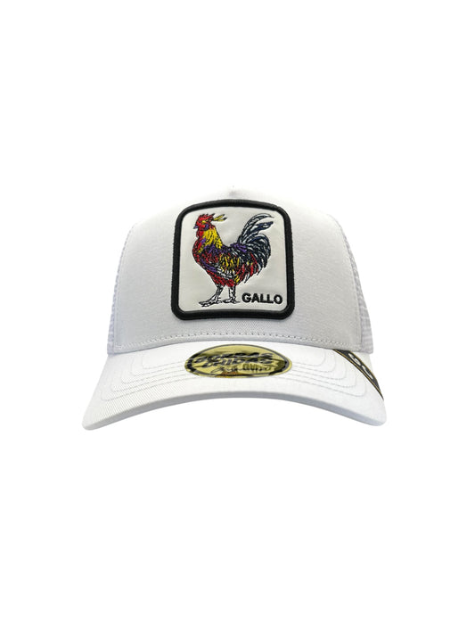 Gallo Blanco