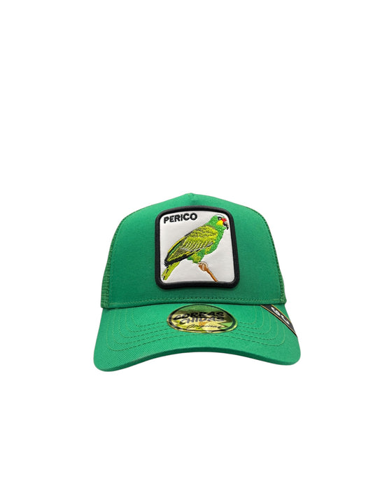 Perico Verde