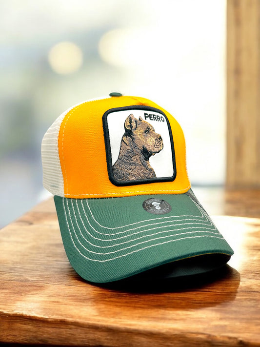 Gorra del Perro en Naranja con Verde