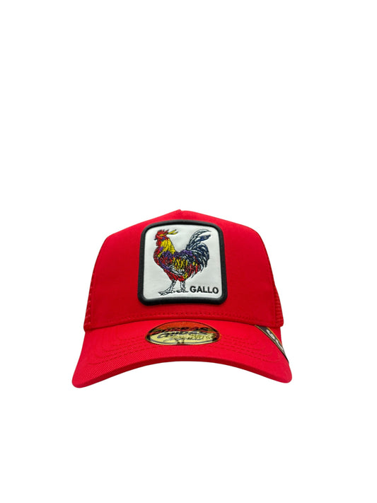 Gallo Rojo