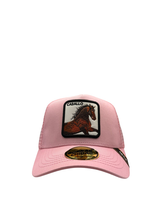 Caballo Rosita
