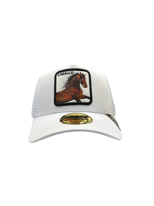 Caballo Blanco