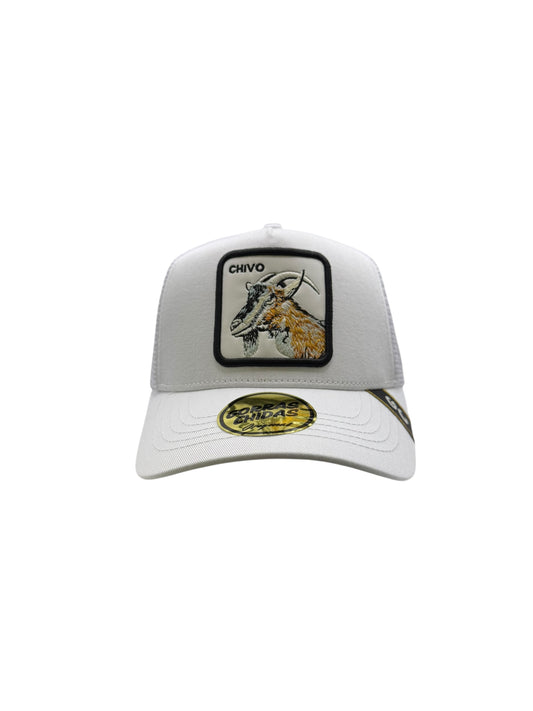 Chivo Blanca