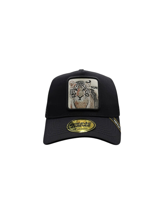 Tigre Negro