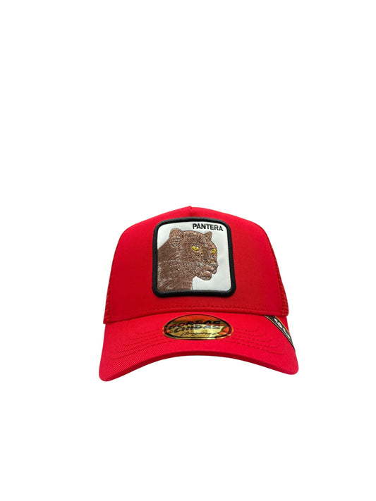 Pantera Roja
