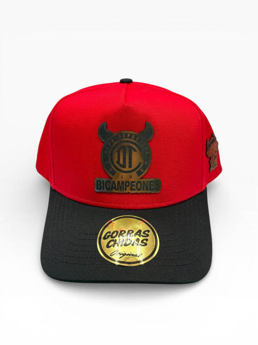 “Toluca - Bi Campeones” Deportivo F.C.